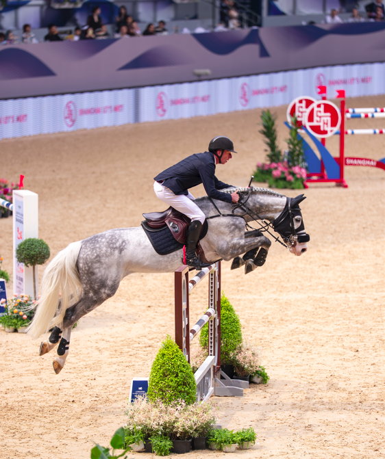 Sports horse